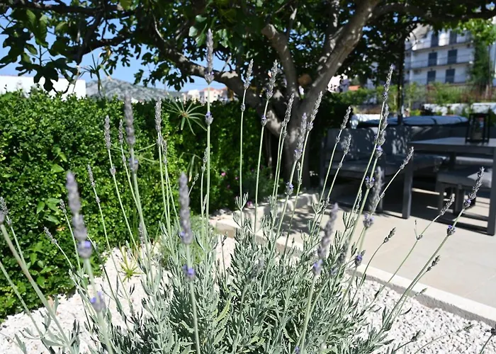 Paulina Harmony Affittacamere Seget Vranjica